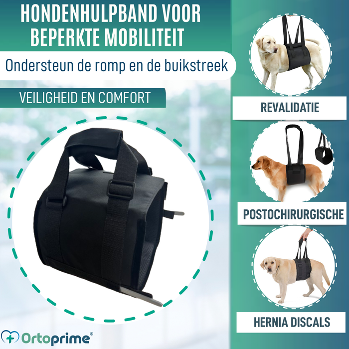 Hulpsling voor Honden met Beperkte Mobiliteit | 5 Maten