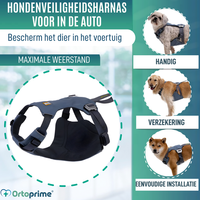 Veiligheidstuig voor Hondentransport | Extra Sterk