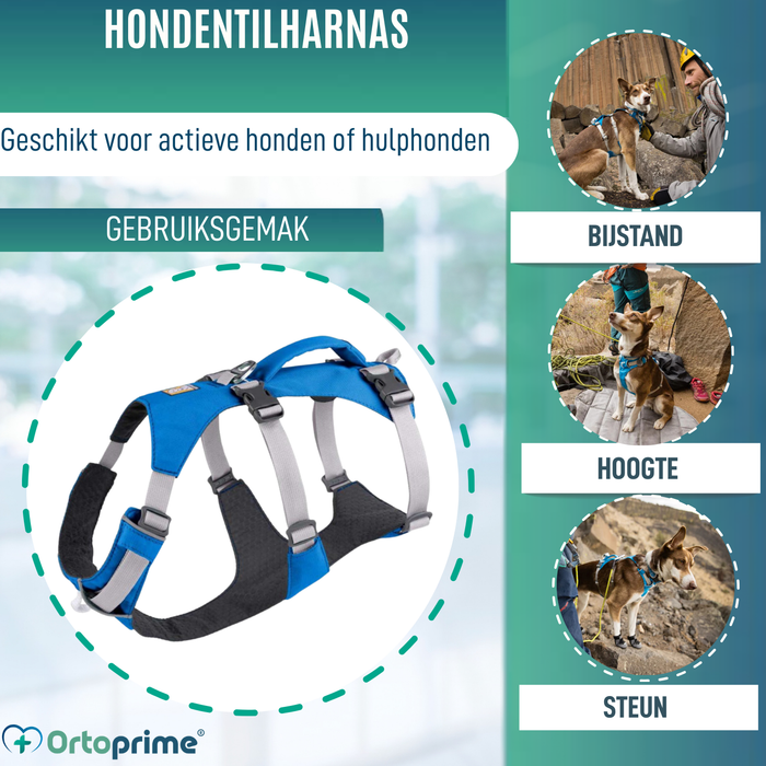 Multifunctioneel Harnas voor Honden | Stevige Structuur
