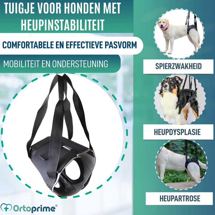 Revalidatieharnas voor Honden Achterpoten | 5 Maten