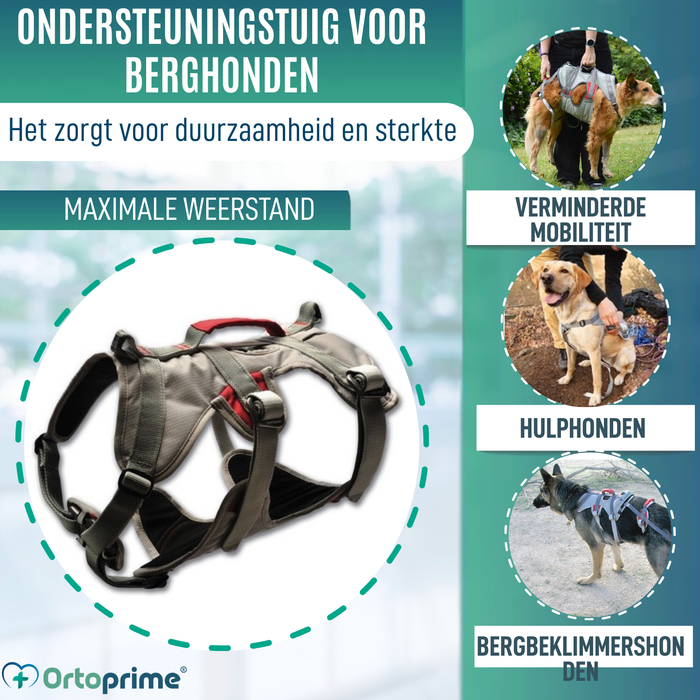 Klimondersteuningsharnas voor Honden | Maximale Sterkte