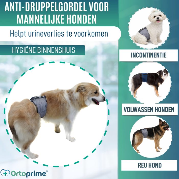 Anti-lekband voor Incontinentie bij Honden | Mannelijke Hond