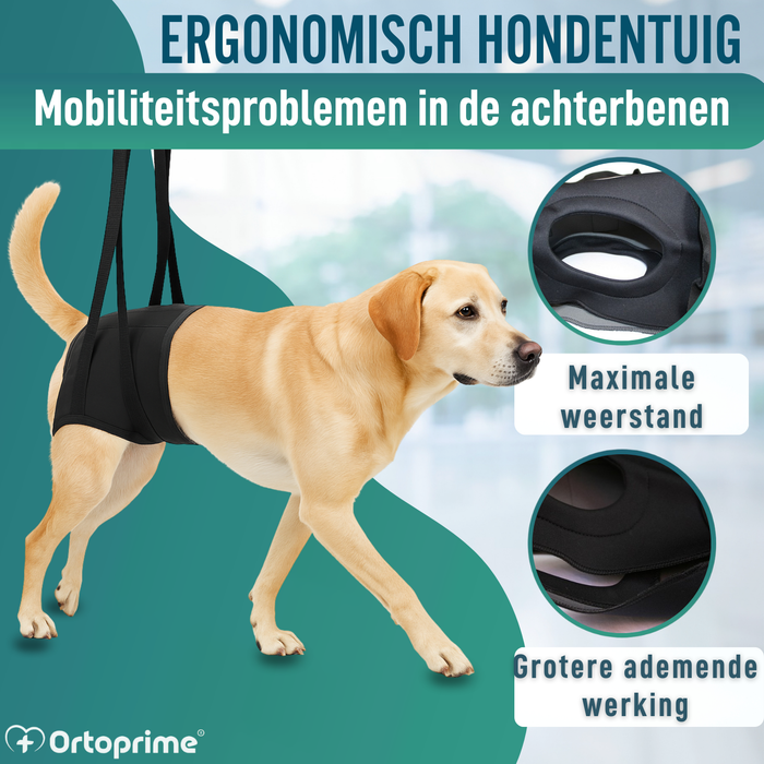 Revalidatieharnas voor Honden Achterpoten | 5 Maten