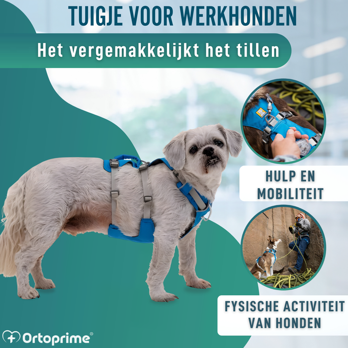 Multifunctioneel Harnas voor Honden | Stevige Structuur