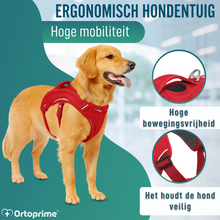 Steunharnas voor Assistentiehonden | 5 Maten