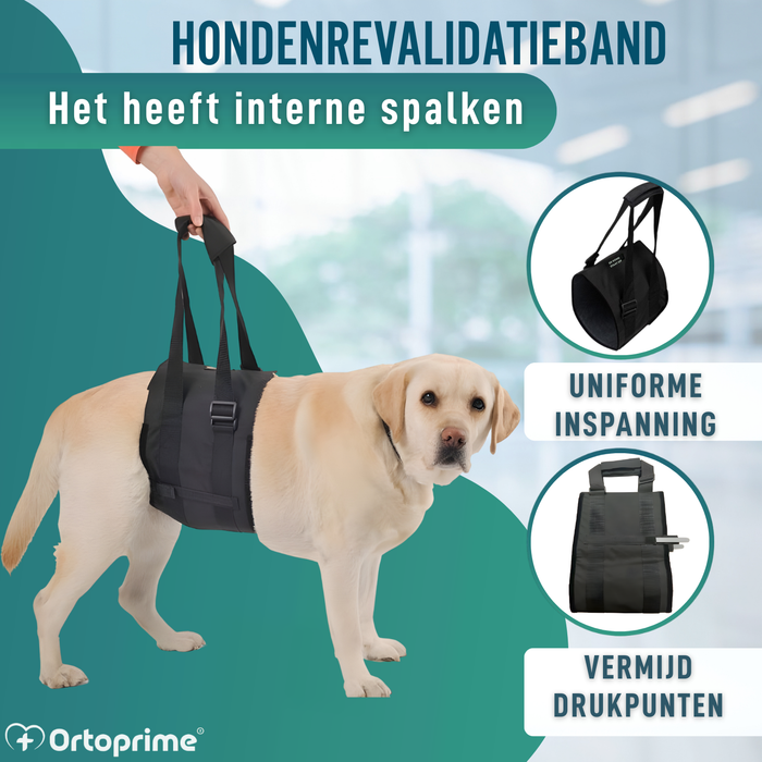Hulpsling voor Honden met Beperkte Mobiliteit | 5 Maten
