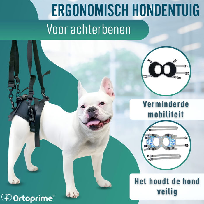 Harnas voor Honden met Verminderde Mobiliteit in Achterpoten