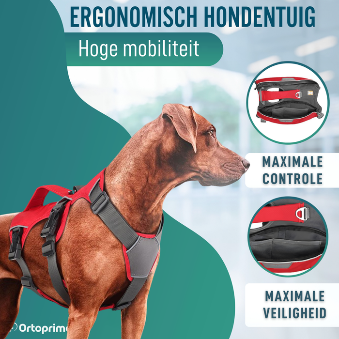 Zoek- en Reddingsharnas voor Honden | Hoge Sterkte
