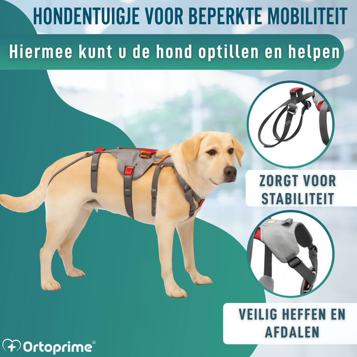 Klimondersteuningsharnas voor Honden | Maximale Sterkte
