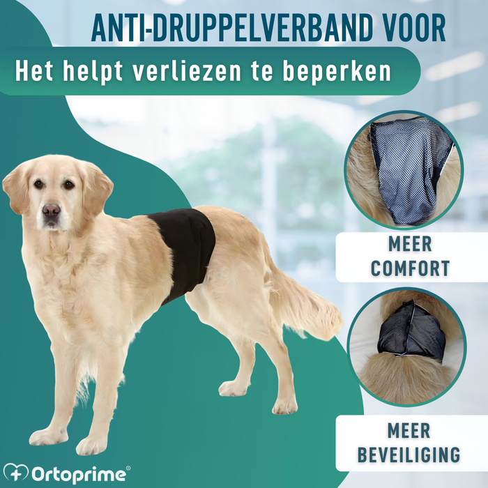 Anti-lekband voor Incontinentie bij Honden | Mannelijke Hond