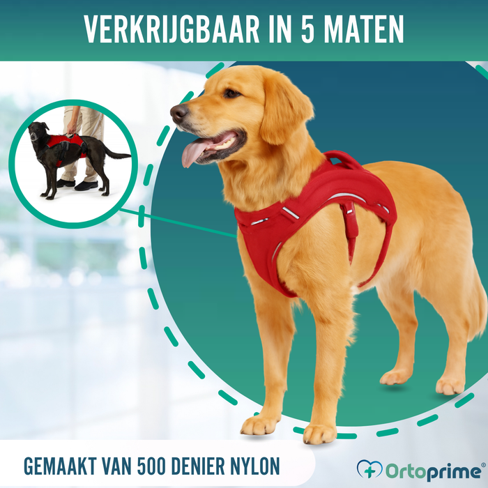 Steunharnas voor Assistentiehonden | 5 Maten