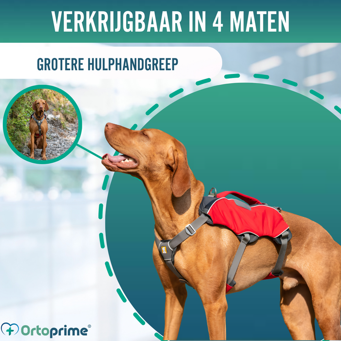 Zoek- en Reddingsharnas voor Honden | Hoge Sterkte