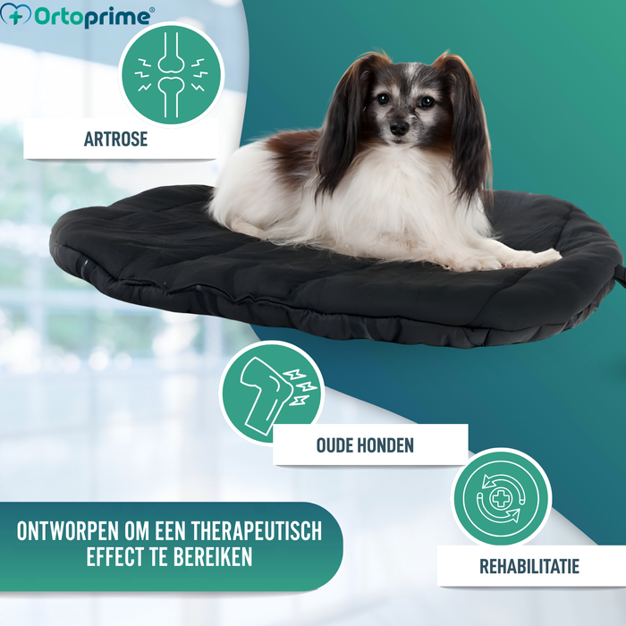 Thermisch Hondenbed bij Artrose | Therapeutische Stof