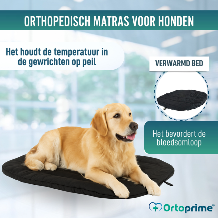 Thermisch Hondenbed bij Artrose | Therapeutische Stof