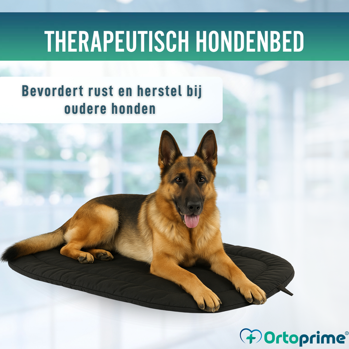 Thermisch Hondenbed bij Artrose | Therapeutische Stof