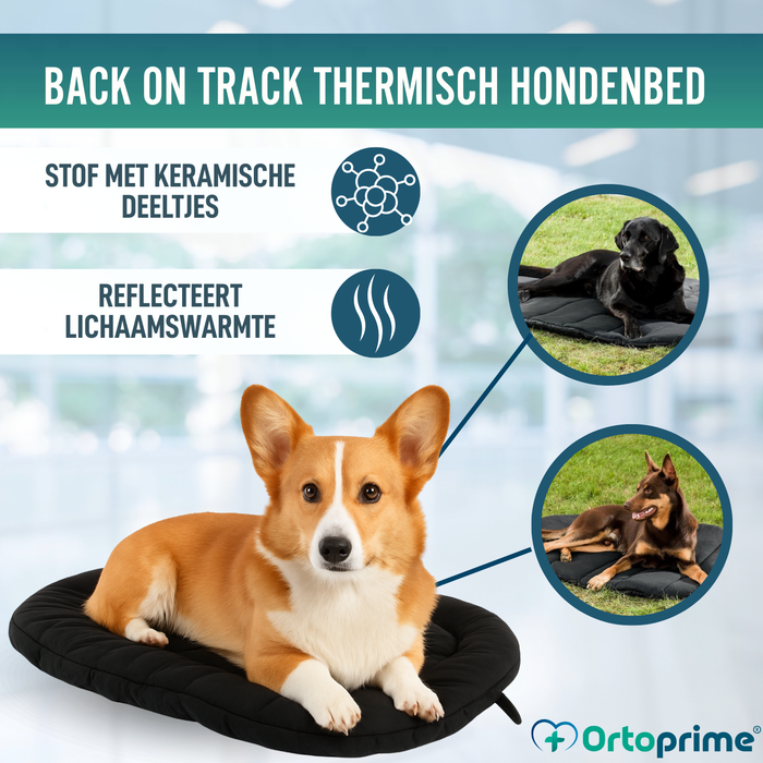 Thermisch Hondenbed bij Artrose | Therapeutische Stof