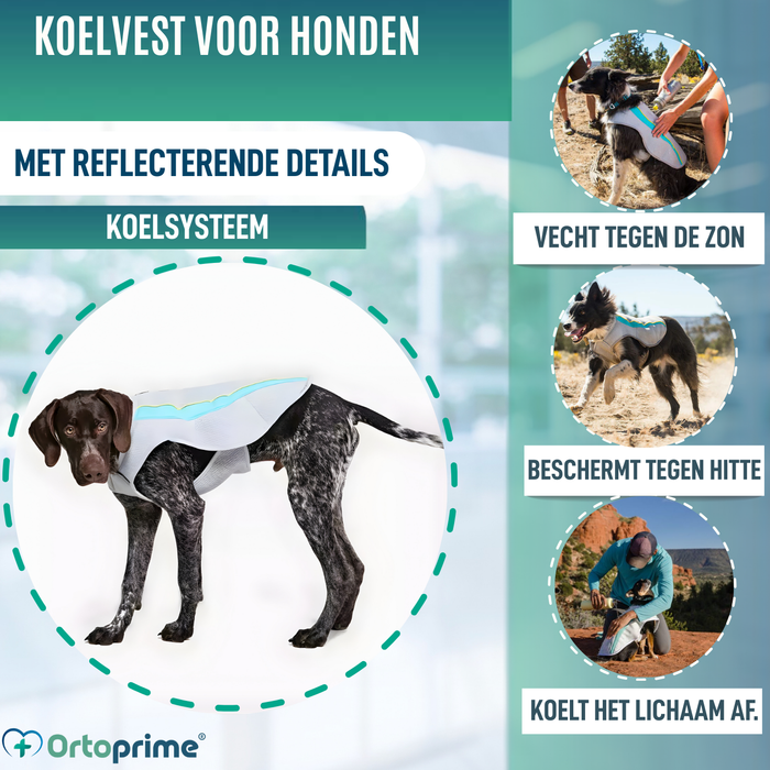 Zomervest voor Honden | Verkoeling door Verdamping