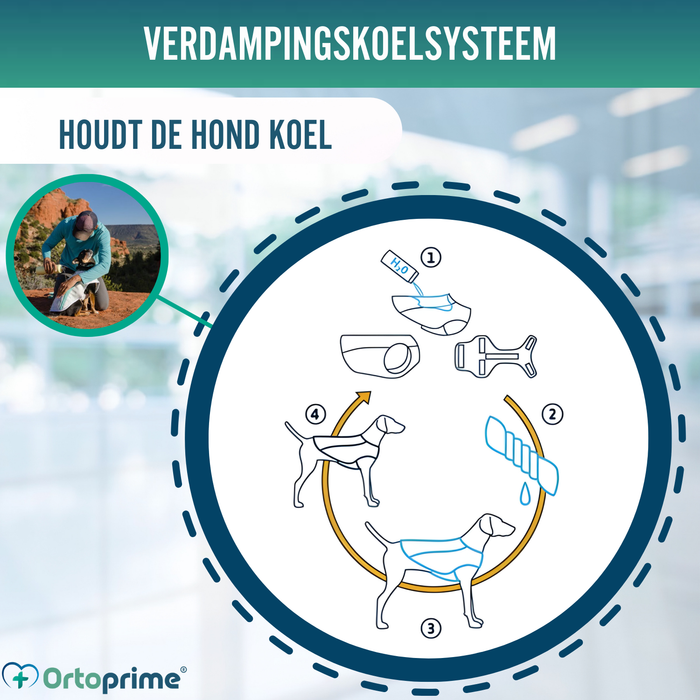 Zomervest voor Honden | Verkoeling door Verdamping