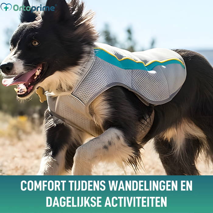 Zomervest voor Honden | Verkoeling door Verdamping
