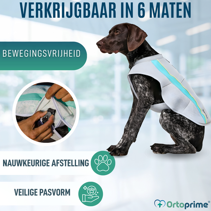 Zomervest voor Honden | Verkoeling door Verdamping