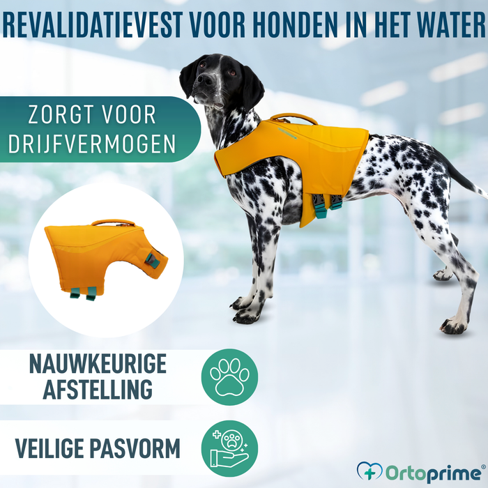 Hunde-Rettungsweste Mehrfachnutzung | Wassersicherheit