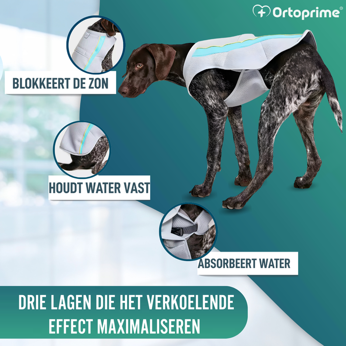 Zomervest voor Honden | Verkoeling door Verdamping