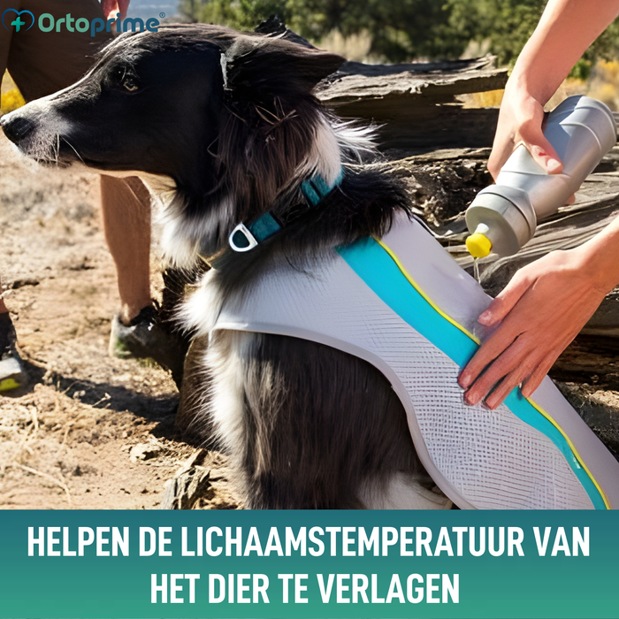 Zomervest voor Honden | Verkoeling door Verdamping
