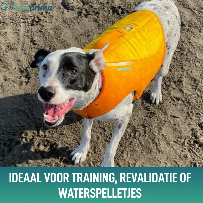 Hunde-Rettungsweste Mehrfachnutzung | Wassersicherheit