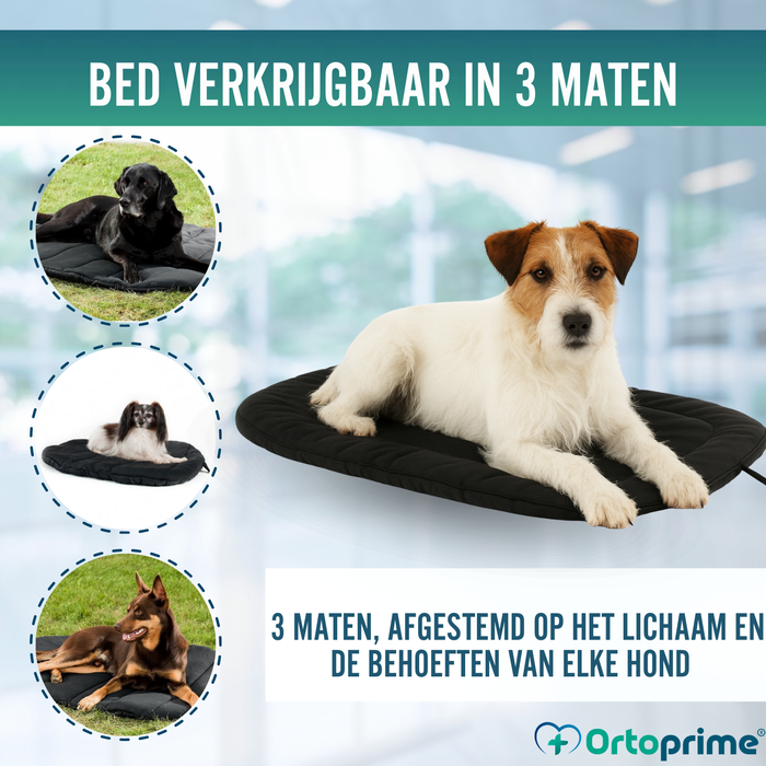 Thermisch Hondenbed bij Artrose | Therapeutische Stof