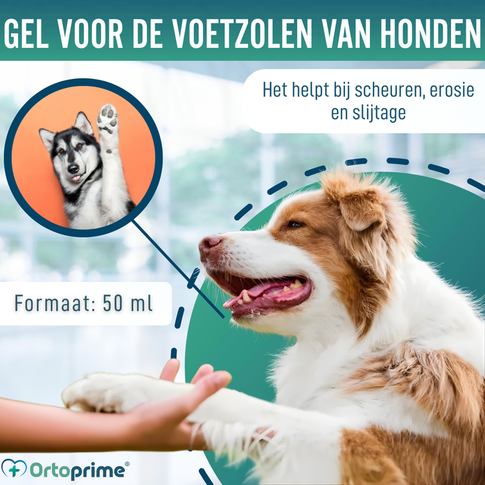 Beschermende Pootgel voor Honden | Aloë Vera 50 ml