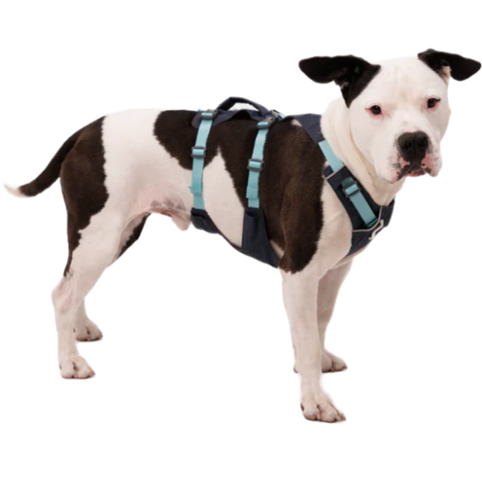 Multifunctioneel Harnas voor Honden | Stevige Structuur