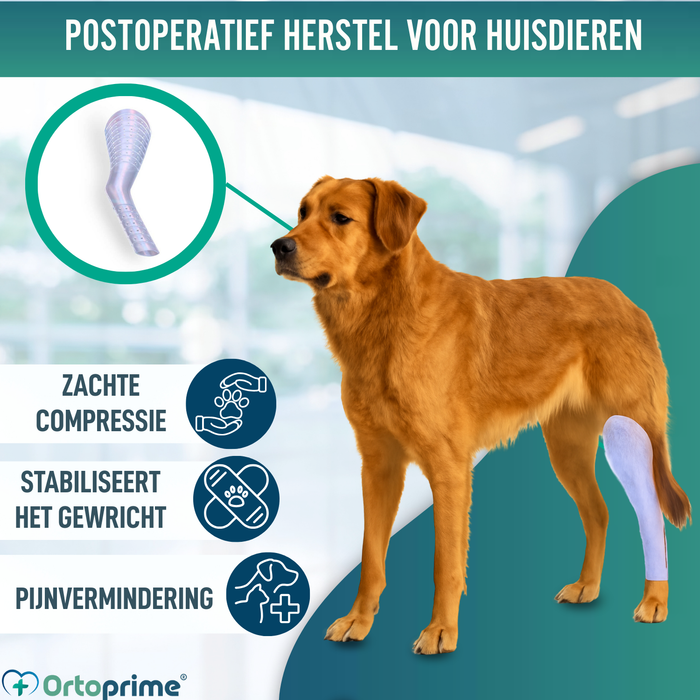 Snelle Spalk voor Honden en Katten | 3 Maten