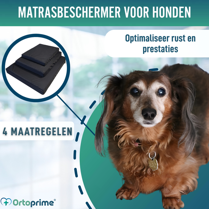Waterdichte Hoes voor Orthopedische Hondenmatras | 4 Maten