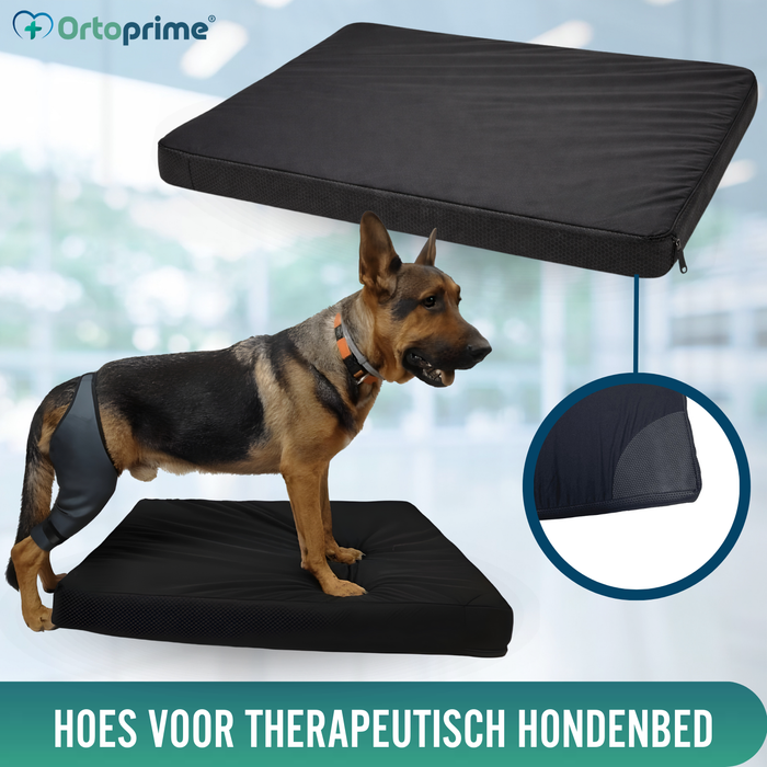 Waterdichte Hoes voor Orthopedische Hondenmatras | 4 Maten