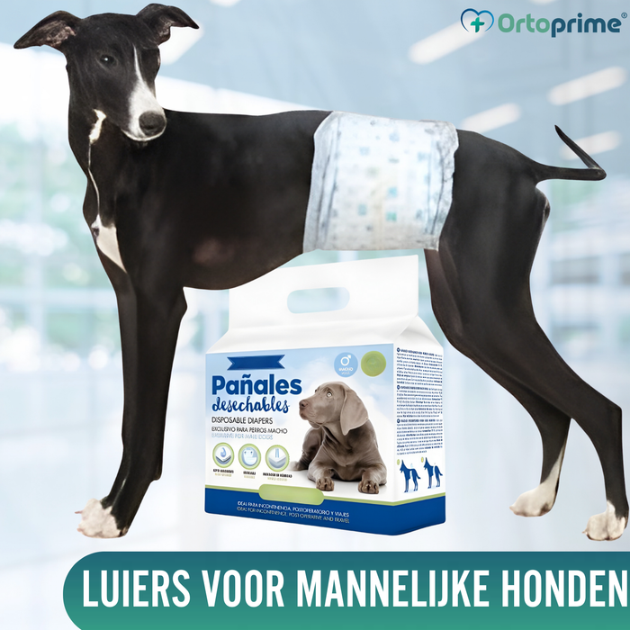 Hondenluiers voor Reu Ultra Absorberend | 12 Stuks