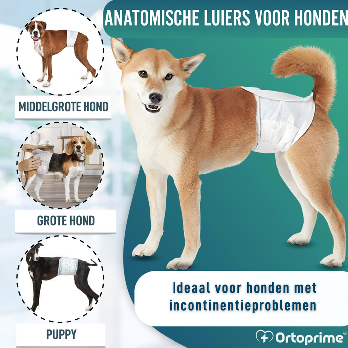 Hondenluiers voor Reu Ultra Absorberend | 12 Stuks