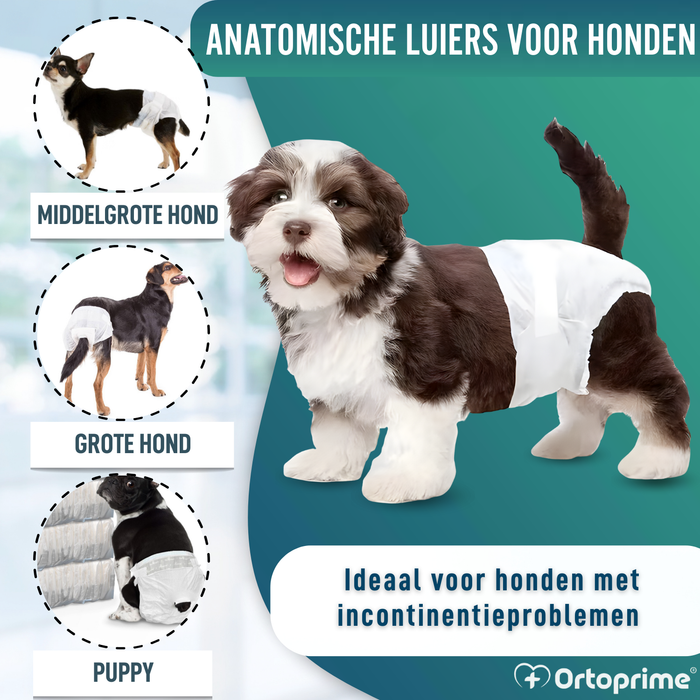 Hondenluiers voor Teefjes en Pups | Hoge Absorptie