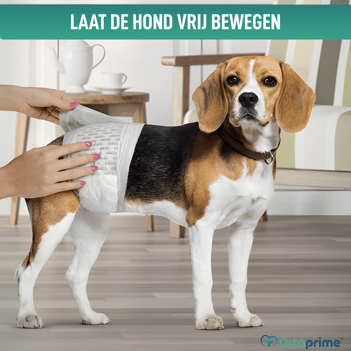 Hondenluiers voor Reu Ultra Absorberend | 12 Stuks