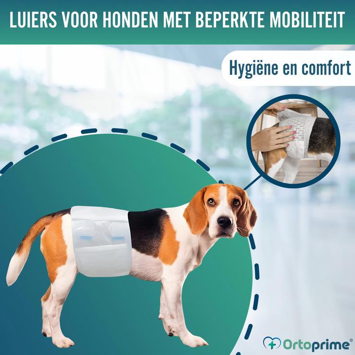 Hondenluiers voor Reu Ultra Absorberend | 12 Stuks