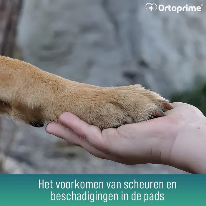 Beschermende Pootgel voor Honden | Aloë Vera 50 ml