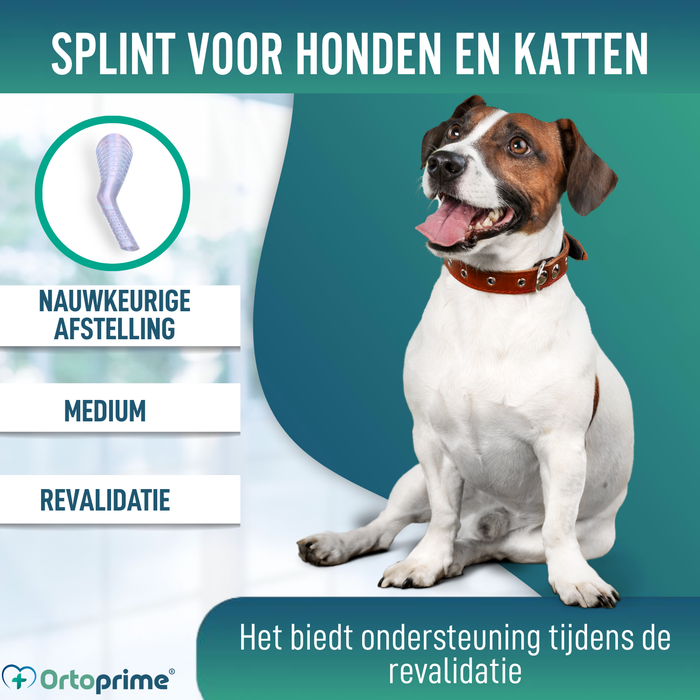 Snelle Spalk voor Honden en Katten | 3 Maten