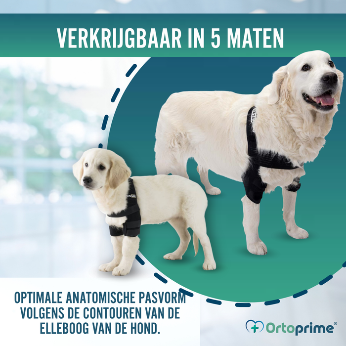 Elleboogorthese voor honden met artrose Revalidatie Canina