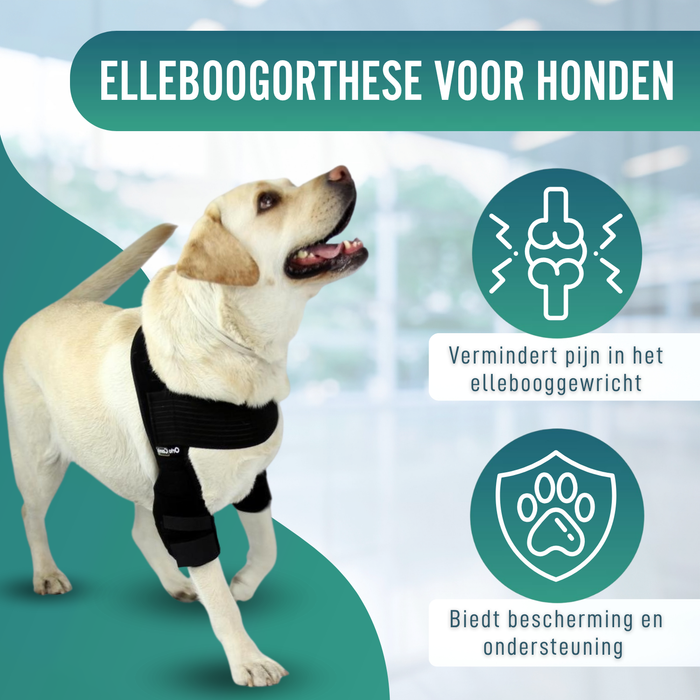 Elleboogorthese voor honden met artrose Revalidatie Canina
