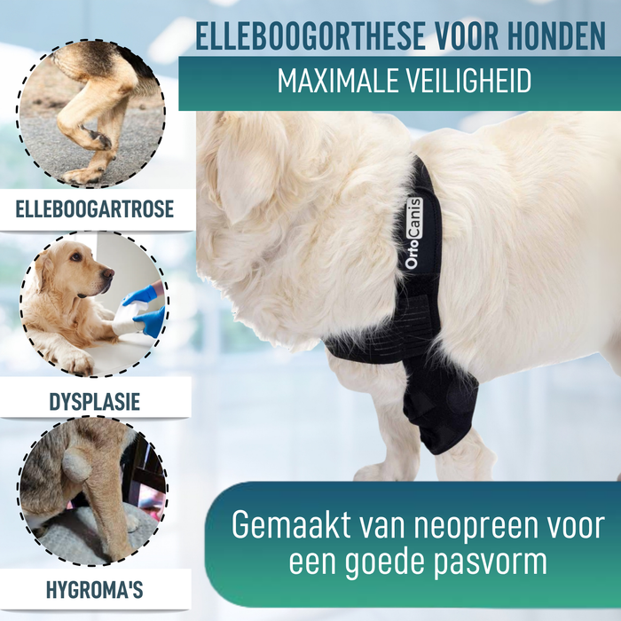 Elleboogorthese voor honden met artrose Revalidatie Canina