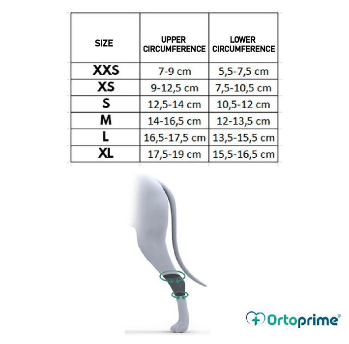 Verstelbare Tarsus Ondersteuning voor Honden | Op Maat
