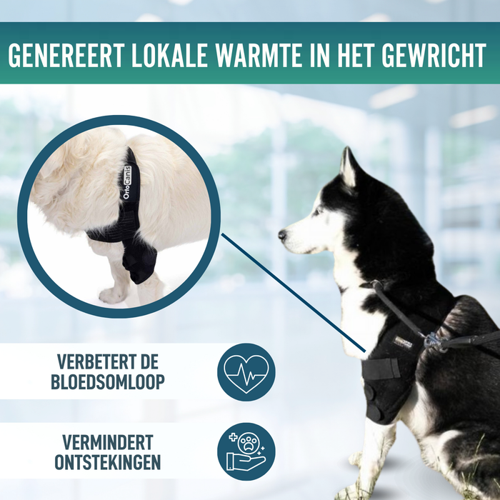 Elleboogorthese voor honden met artrose Revalidatie Canina
