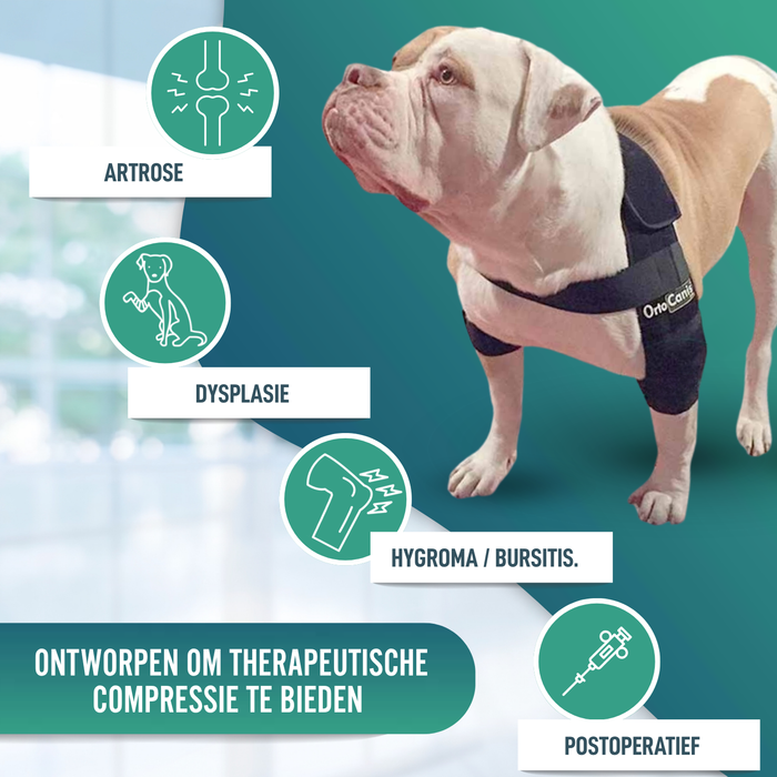 Elleboogorthese voor honden met artrose Revalidatie Canina