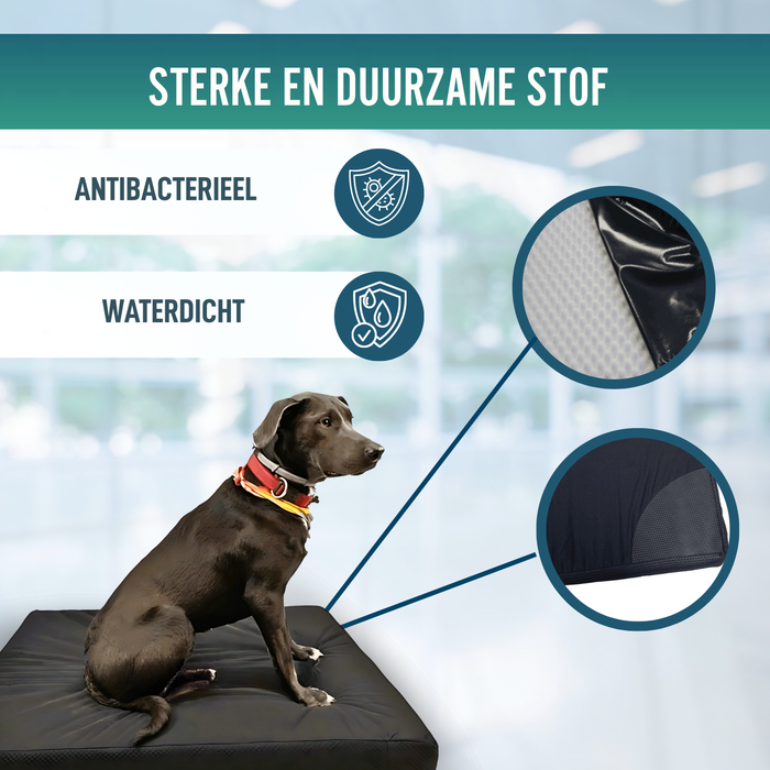 Visco-elastisch Hondenmatras met Waterdichte Hoes | 4 Maten