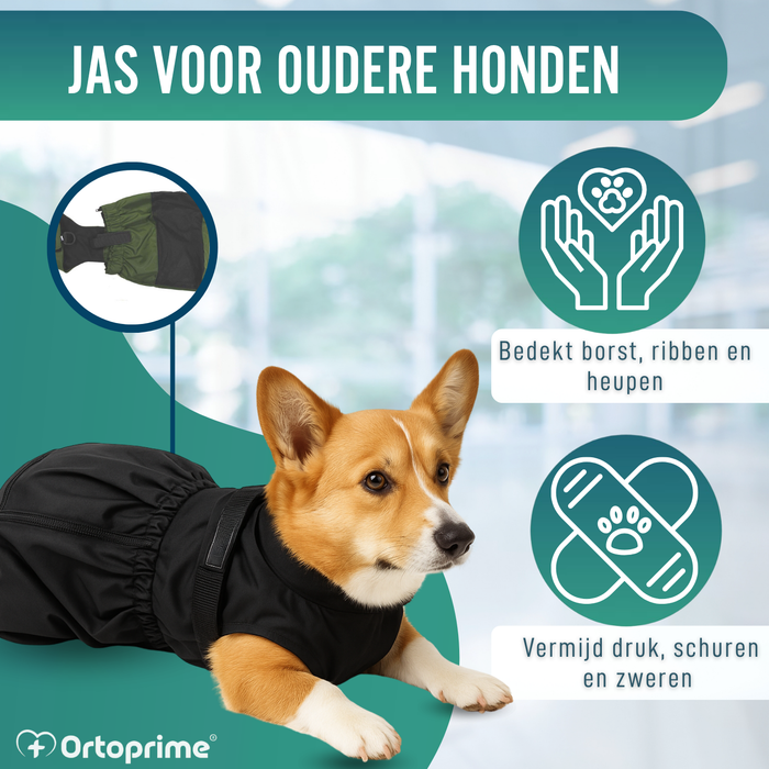 Nylon Jas voor Honden met Beperkte Mobiliteit | 6 Maten