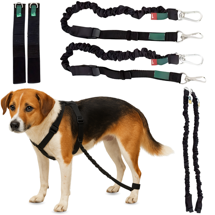 Apparaat voor Hondenataxie | Hulp voor Honden